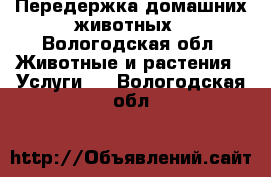 Передержка домашних животных - Вологодская обл. Животные и растения » Услуги   . Вологодская обл.
